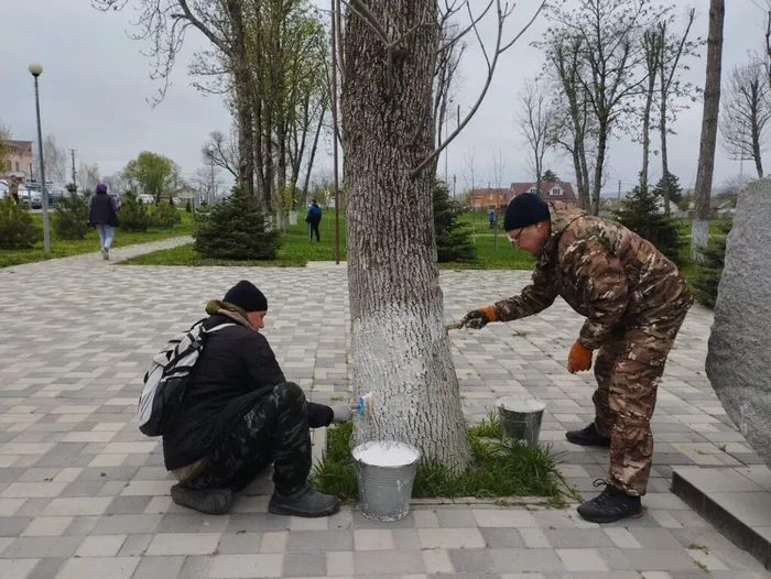 photo_2025-04-05_11-07-14 (2)
