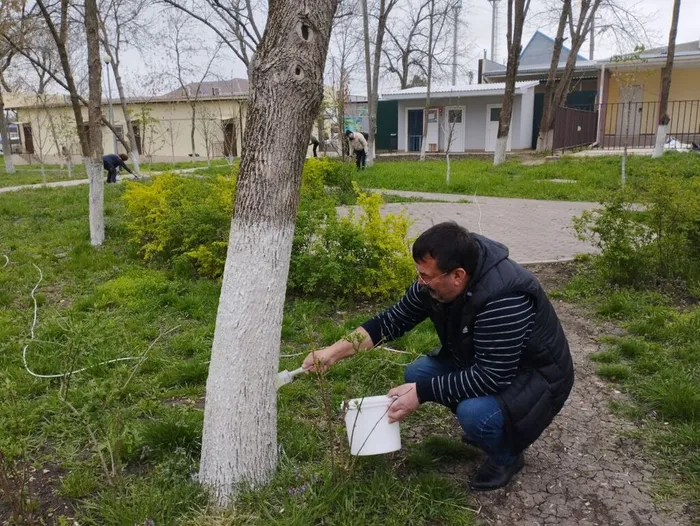 photo_2025-04-05_11-07-16 (2)