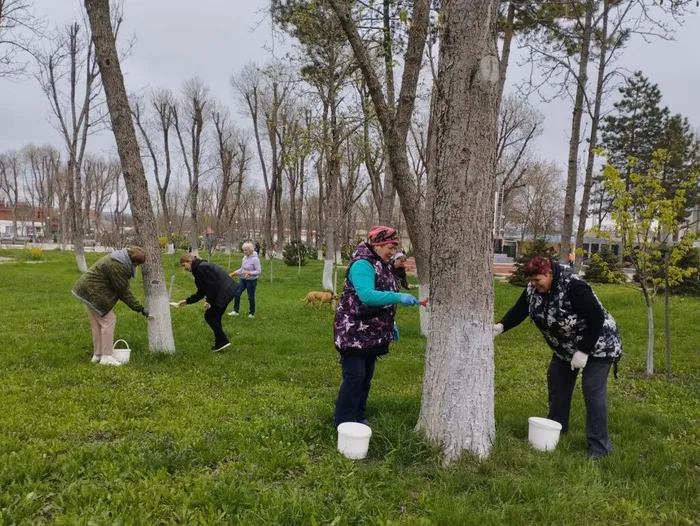 photo_2025-04-05_11-07-15