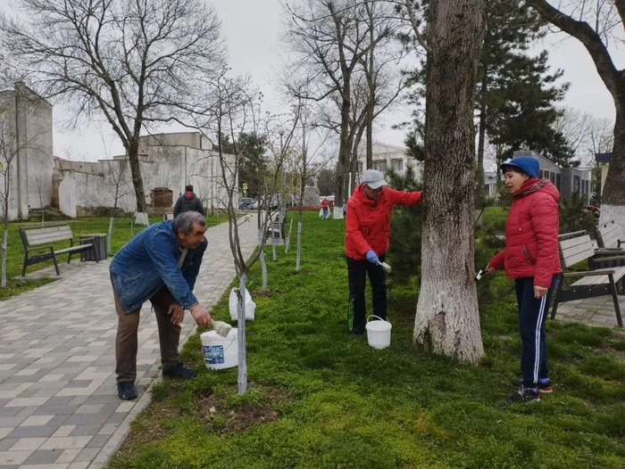 photo_2025-04-05_11-07-14