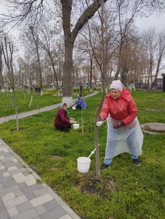 photo_2025-04-05_11-07-12